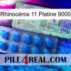 Rhinocéros 11 Platine 9000 new02